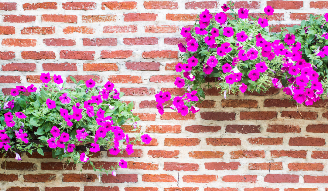 Springtime Fireplace Maintenance