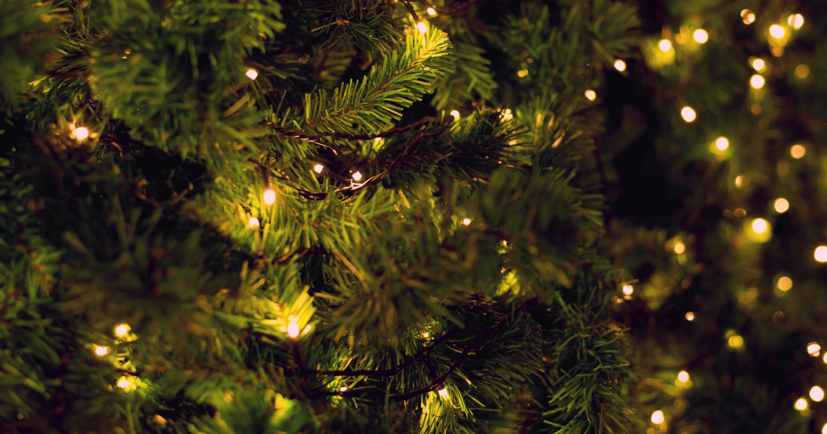 Can I Burn My Christmas Tree in My Fireplace? Raleigh NC Durham NC