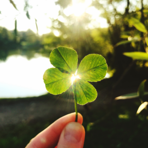 a four leaf clover with the sun shining in the background
