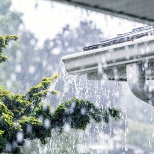 rain falling off a roof with a tree in the background