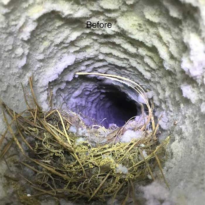 Original Photo- Dryer Vent Cleaning Before- Mr Smokestack Dryer-Vent-Cleaning-Before