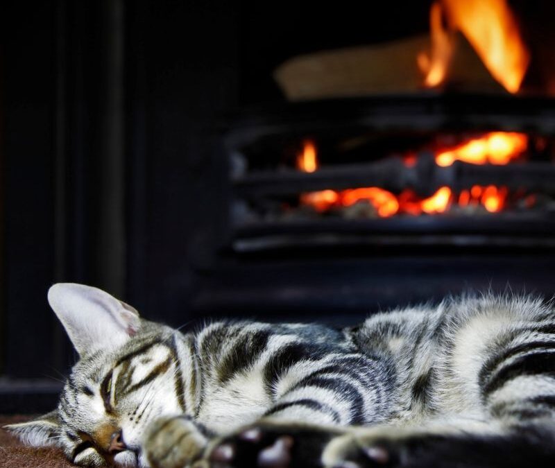 Is Your Fireplace Not Giving Enough Heat?