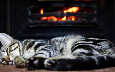 Is Your Fireplace Not Giving Enough Heat?