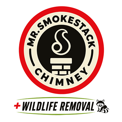 Mr. Smokestack Chimney